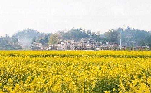 國內四大旅行寶藏省份，你都去過哪兒
